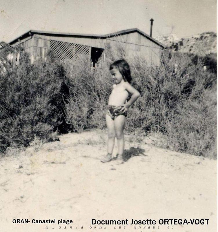 Oran- SDV- 0380- Josette Ortega- Vogt.jpg
